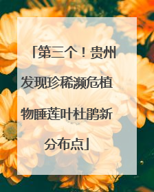 第三个！贵州发现珍稀濒危植物睡莲叶杜鹃新分布点
