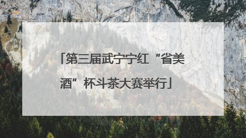 第三届武宁宁红“省美酒”杯斗茶大赛举行
