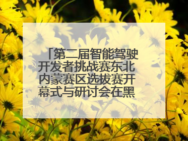 第二届智能驾驶开发者挑战赛东北内蒙赛区选拔赛开幕式与研讨会在黑龙江农业工程职业学院成功举行
