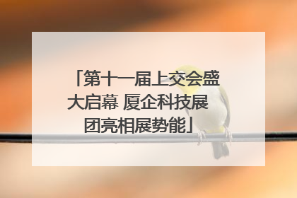 第十一届上交会盛大启幕 厦企科技展团亮相展势能