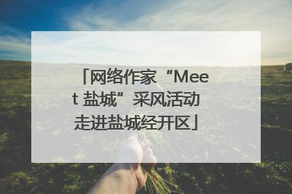 网络作家“Meet 盐城”采风活动走进盐城经开区
