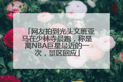网友拍到光头文班亚马在少林寺晨跑，称是离NBA巨星最近的一次，景区回应