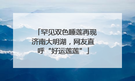 罕见双色睡莲再现济南大明湖，网友直呼“好运莲莲”