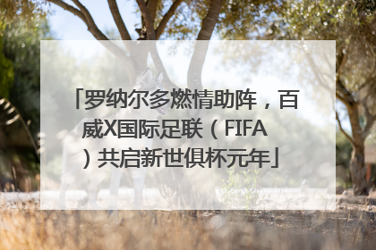 罗纳尔多燃情助阵，百威X国际足联（FIFA）共启新世俱杯元年