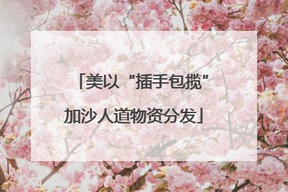 美以“插手包揽”加沙人道物资分发