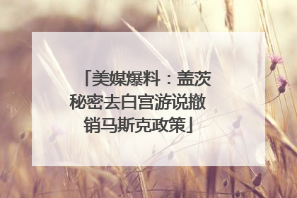 美媒爆料：盖茨秘密去白宫游说撤销马斯克政策