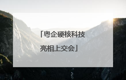 粤企硬核科技亮相上交会
