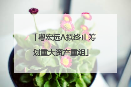 粤宏远A拟终止筹划重大资产重组