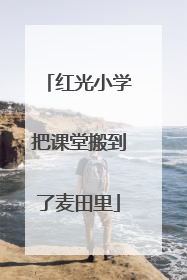 红光小学把课堂搬到了麦田里