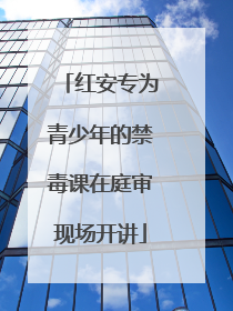 红安专为青少年的禁毒课在庭审现场开讲
