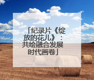 纪录片《绽放的花儿》：共绘融合发展时代画卷