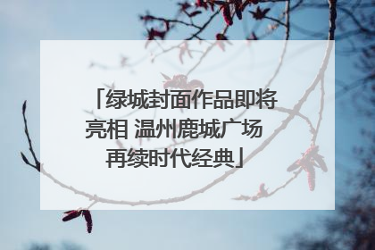 绿城封面作品即将亮相 温州鹿城广场再续时代经典