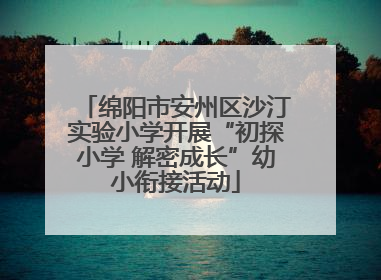 绵阳市安州区沙汀实验小学开展“初探小学 解密成长”幼小衔接活动