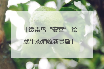 绶带鸟“安营” 绘就生态增收新景致