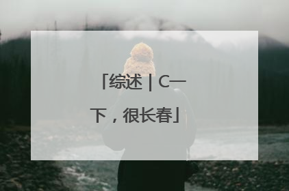 综述｜C一下，很长春