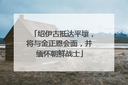 绍伊古抵达平壤，将与金正恩会面，并缅怀朝鲜战士