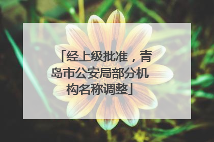 经上级批准，青岛市公安局部分机构名称调整
