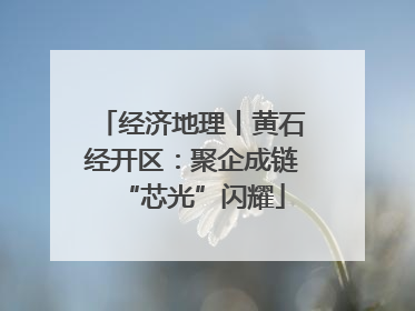 经济地理丨黄石经开区：聚企成链“芯光”闪耀