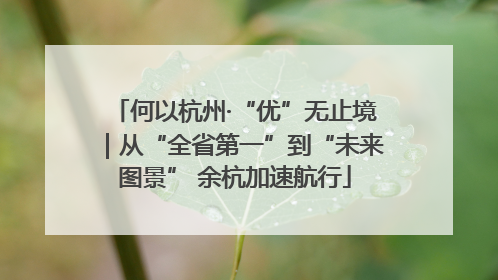 何以杭州·“优”无止境｜从“全省第一”到“未来图景” 余杭加速航行