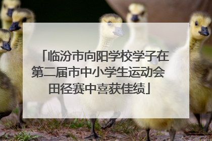 临汾市向阳学校学子在第二届市中小学生运动会田径赛中喜获佳绩