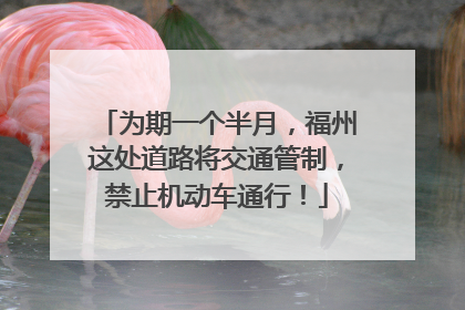为期一个半月，福州这处道路将交通管制，禁止机动车通行！