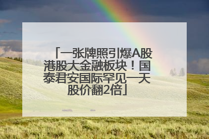 一张牌照引爆A股港股大金融板块！国泰君安国际罕见一天股价翻2倍