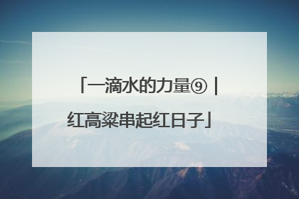 一滴水的力量⑨｜红高粱串起红日子