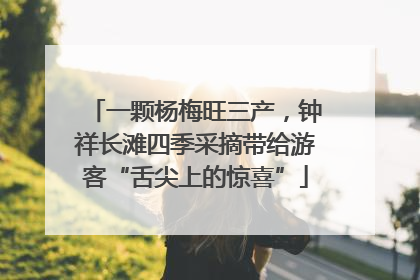 一颗杨梅旺三产，钟祥长滩四季采摘带给游客“舌尖上的惊喜”