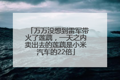 万万没想到雷军带火了莲藕，一天之内卖出去的莲藕是小米汽车的22倍