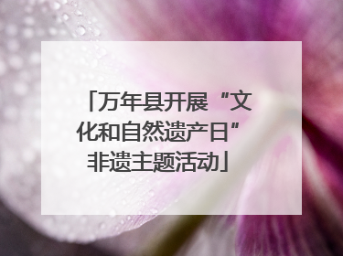 万年县开展“文化和自然遗产日”非遗主题活动