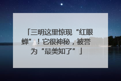 三明这里惊现“红眼蝉”！它很神秘，被誉为“最美知了”