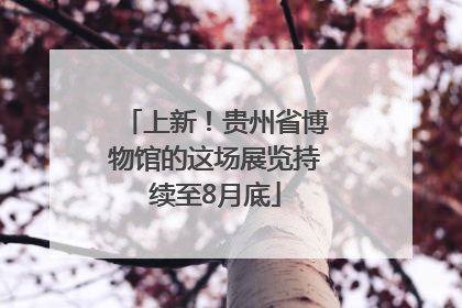 上新！贵州省博物馆的这场展览持续至8月底