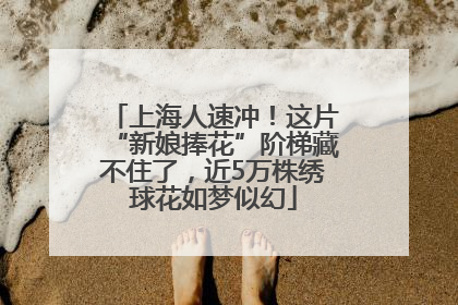 上海人速冲！这片“新娘捧花”阶梯藏不住了，近5万株绣球花如梦似幻