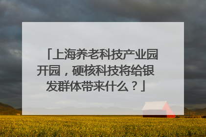 上海养老科技产业园开园，硬核科技将给银发群体带来什么？