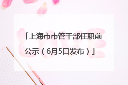 上海市市管干部任职前公示（6月5日发布）