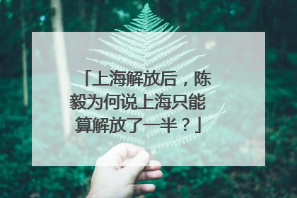 上海解放后，陈毅为何说上海只能算解放了一半？