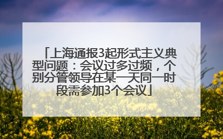 上海通报3起形式主义典型问题：会议过多过频，个别分管领导在某一天同一时段需参加3个会议