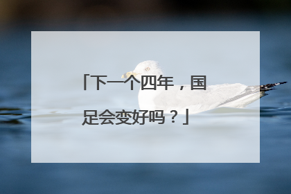 下一个四年，国足会变好吗？