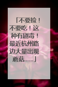 不要捡！不要吃！这种有剧毒！最近杭州路边大量出现蘑菇……