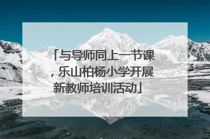 与导师同上一节课，乐山柏杨小学开展新教师培训活动