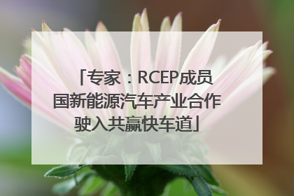 专家：RCEP成员国新能源汽车产业合作驶入共赢快车道