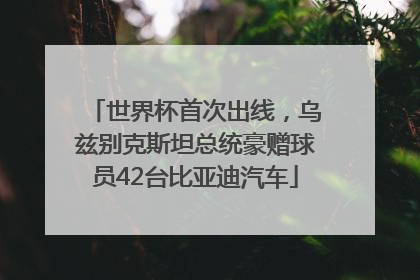 世界杯首次出线，乌兹别克斯坦总统豪赠球员42台比亚迪汽车