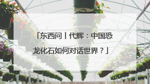 东西问丨代辉：中国恐龙化石如何对话世界？