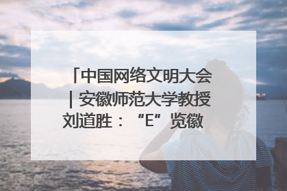 中国网络文明大会｜安徽师范大学教授刘道胜：“E”览徽风，构筑中华民族共有精神家园