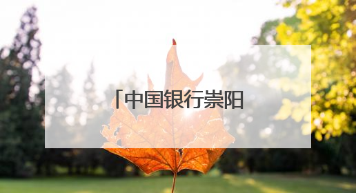 中国银行崇阳支行守护百姓“钱袋子”