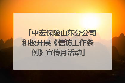 中宏保险山东分公司积极开展《信访工作条例》宣传月活动