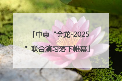 中柬“金龙-2025”联合演习落下帷幕