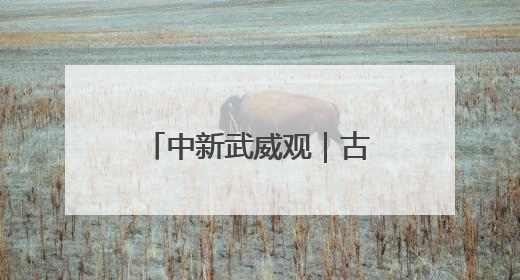 中新武威观｜古浪“三北”攻坚织就绿色经纬