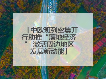 中欧班列密集开行助推“落地经济” 激活周边地区发展新动能