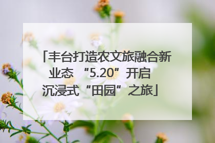丰台打造农文旅融合新业态 “5.20”开启沉浸式“田园”之旅